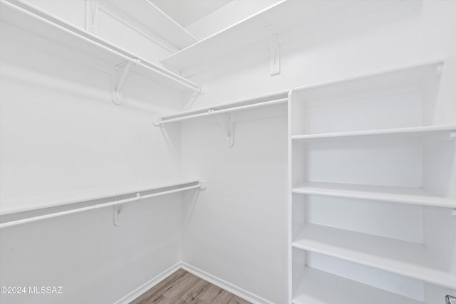 spacious closet featuring wood-type flooring