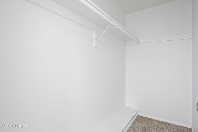 walk in closet with carpet floors