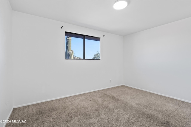 spare room with carpet