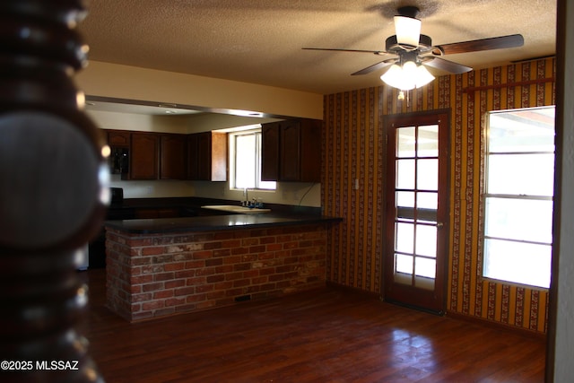 kitchen featuring a textured ceiling, dark wood-type flooring, sink, ceiling fan, and dark brown cabinets