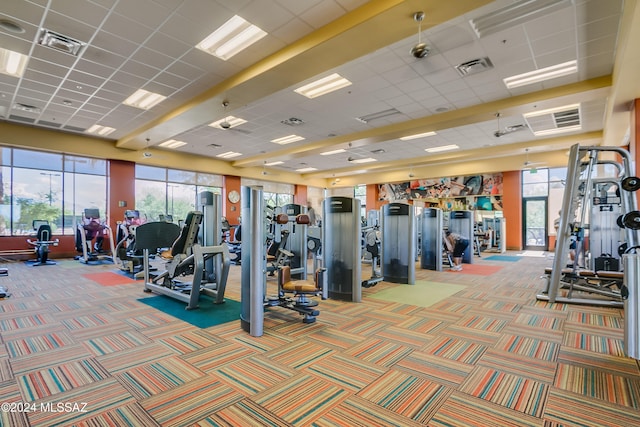 workout area featuring a wealth of natural light, a paneled ceiling, and light carpet