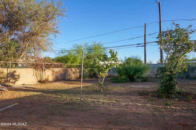 view of yard