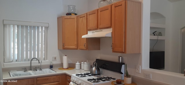 kitchen with white range with gas cooktop and sink