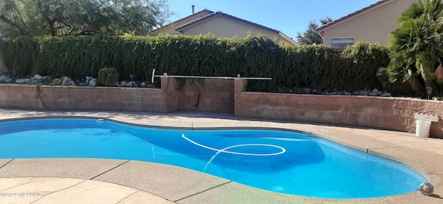 view of pool featuring a patio