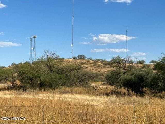 view of local wilderness