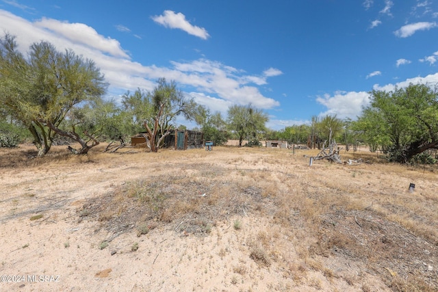 view of local wilderness with a rural view