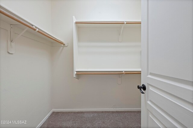 walk in closet with carpet flooring