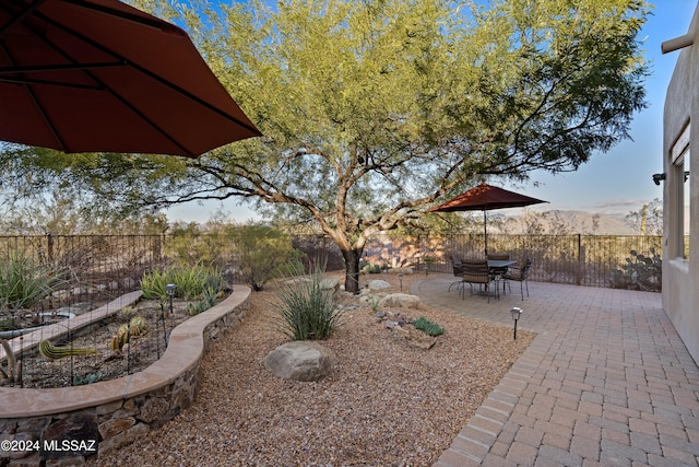 view of yard featuring a patio area and a mountain view