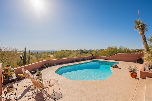 view of swimming pool with a patio