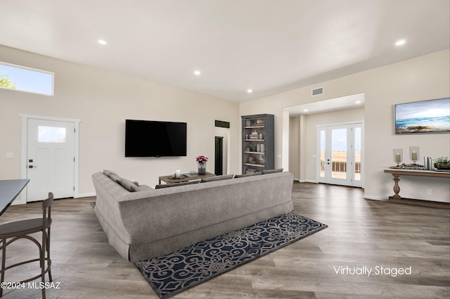 living room featuring wood-type flooring