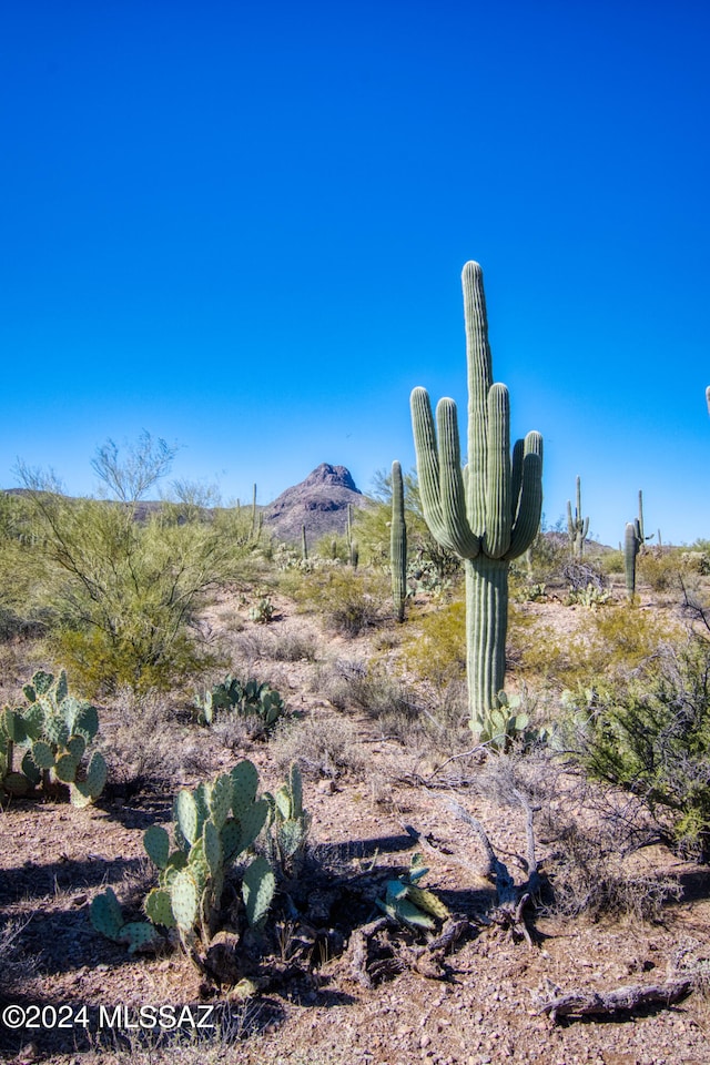 Listing photo 3 for 7500 N Artesiano Rd, Tucson AZ 85743