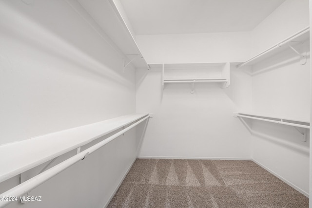 spacious closet with carpet floors