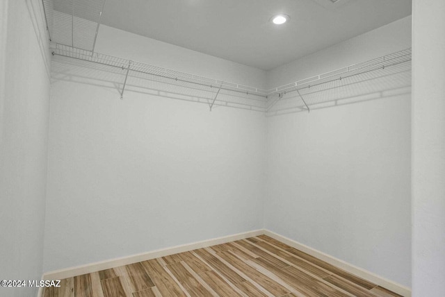 spacious closet featuring hardwood / wood-style flooring