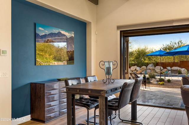 dining space featuring light hardwood / wood-style flooring and plenty of natural light