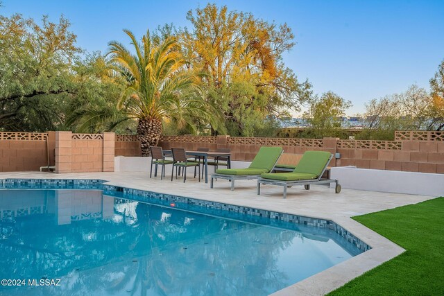 view of swimming pool featuring a patio area