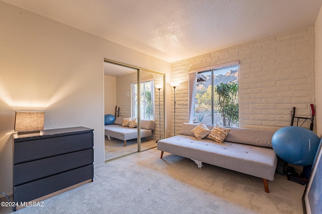 living area with a textured ceiling and light colored carpet