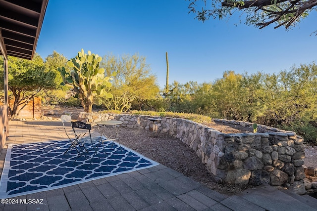 view of yard featuring a patio area