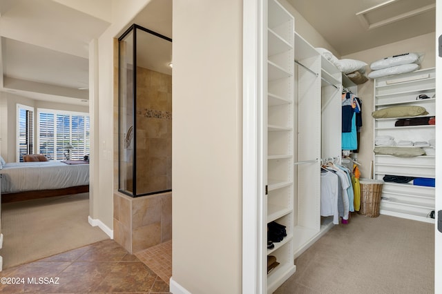 spacious closet featuring carpet