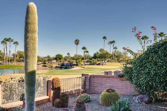 view of home's community with a yard and a water view