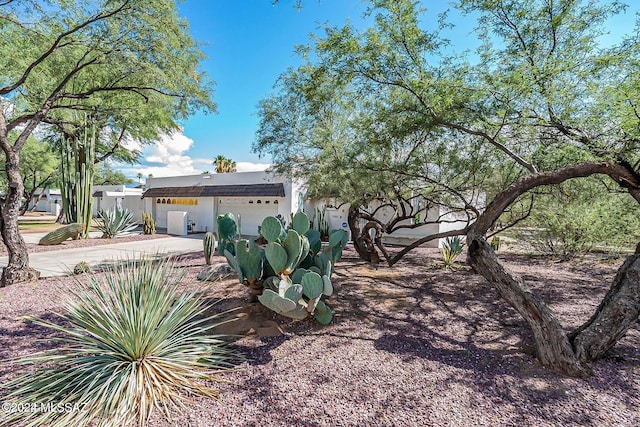 view of yard featuring a garage