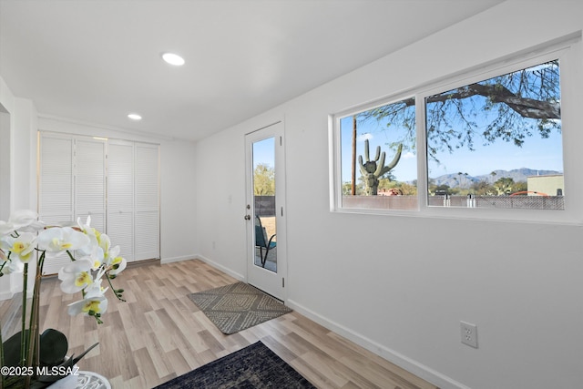 foyer with a mountain view and light wood-type flooring