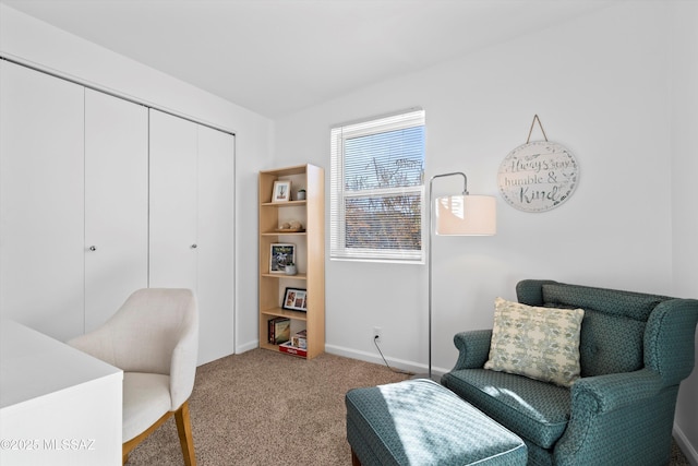 sitting room featuring carpet flooring