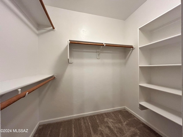 spacious closet with dark colored carpet