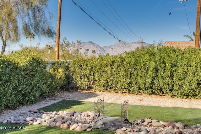 view of yard with a fenced backyard and a mountain view