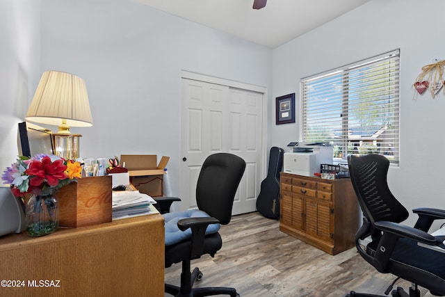 office featuring ceiling fan and light hardwood / wood-style floors