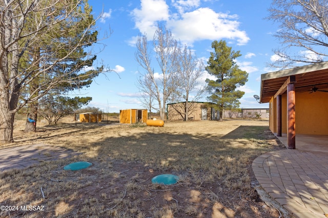 view of yard featuring a patio and a shed