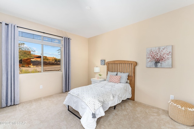 bedroom with carpet