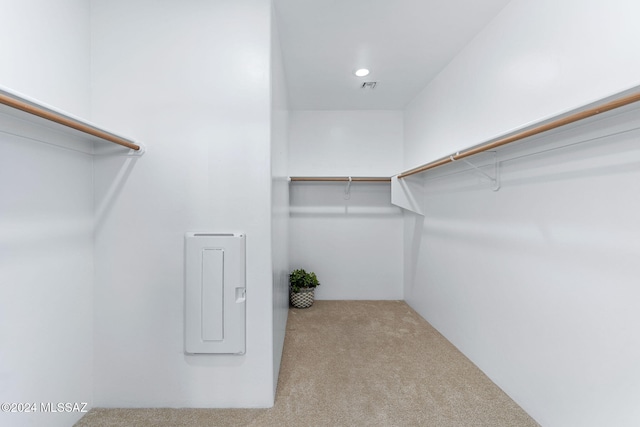 walk in closet with light colored carpet