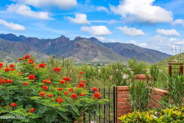 property view of mountains