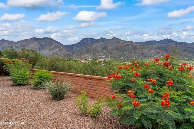 view of mountain feature