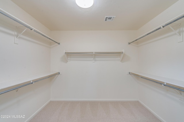 spacious closet with carpet floors