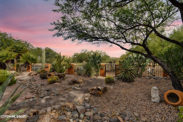 view of yard at dusk