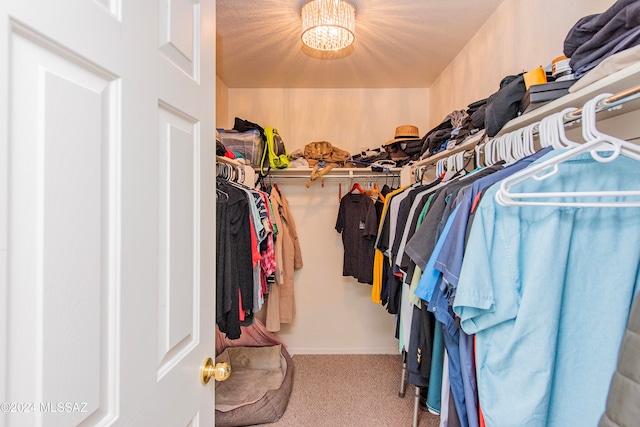 spacious closet featuring carpet flooring