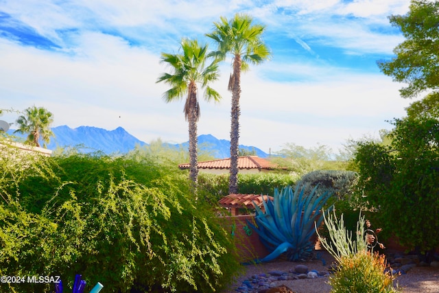 property view of mountains