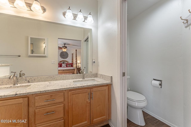 bathroom with vanity, toilet, and wood-type flooring