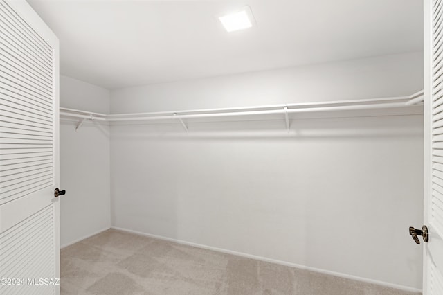 spacious closet with light colored carpet