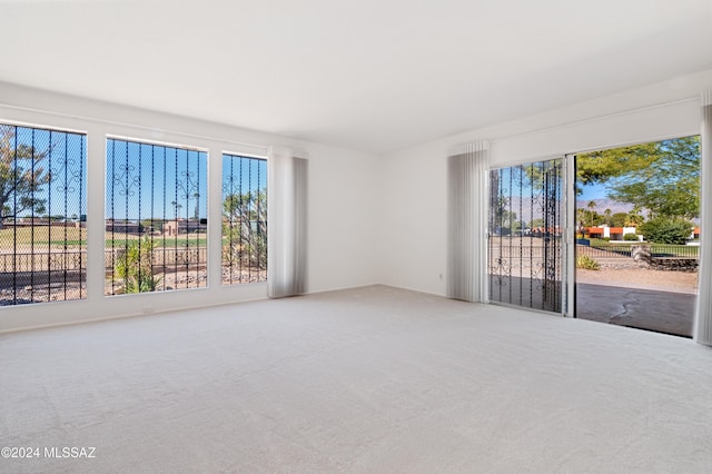 spare room with carpet and plenty of natural light