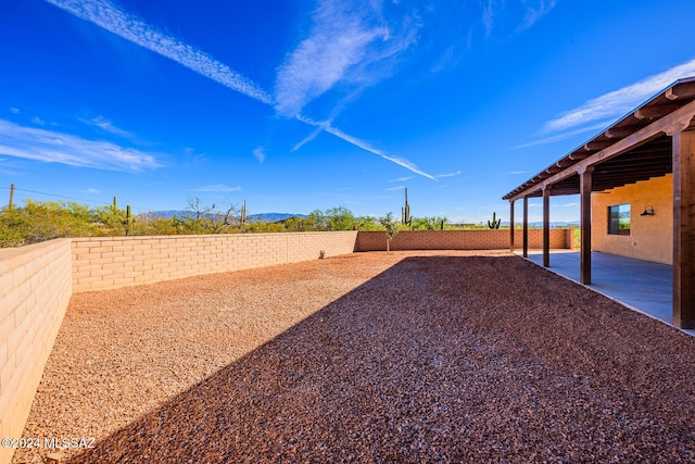 view of yard featuring a patio area