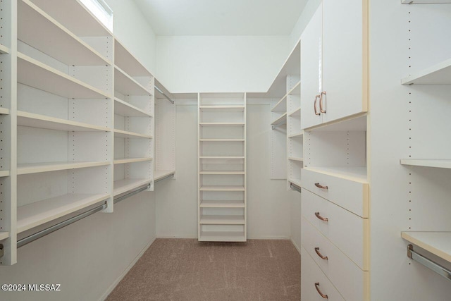 walk in closet featuring light colored carpet