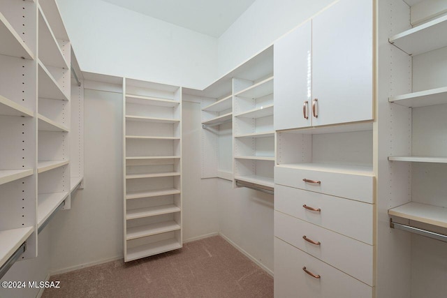 spacious closet with carpet