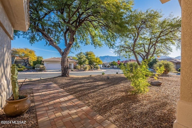 view of yard featuring a mountain view