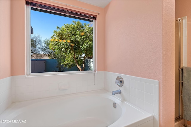 bathroom with a washtub and a healthy amount of sunlight