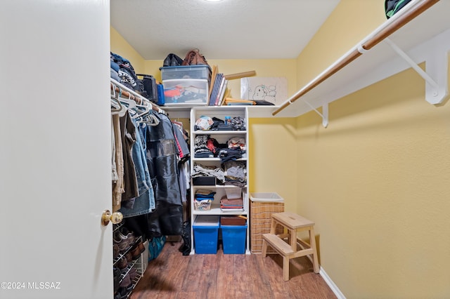 spacious closet with hardwood / wood-style floors