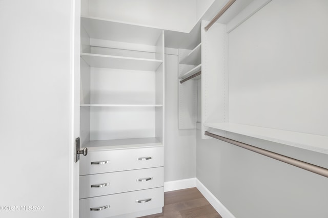 walk in closet with dark hardwood / wood-style flooring