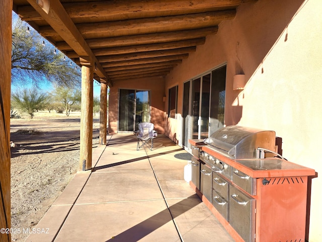 view of patio / terrace with a grill and area for grilling
