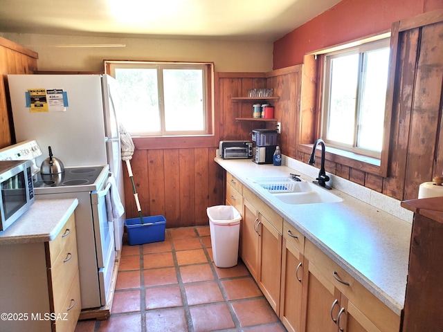 kitchen with sink, white appliances, wooden walls, and a healthy amount of sunlight